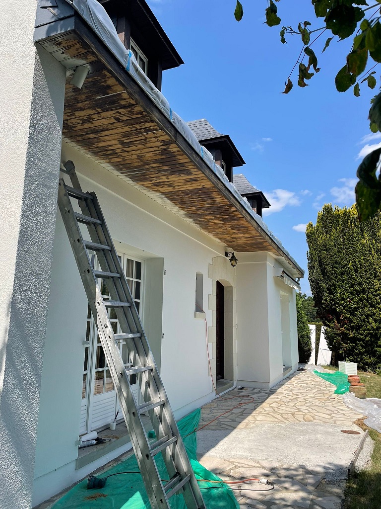 Remplacement sous toiture sainte gemmes sur loire 49130 avant